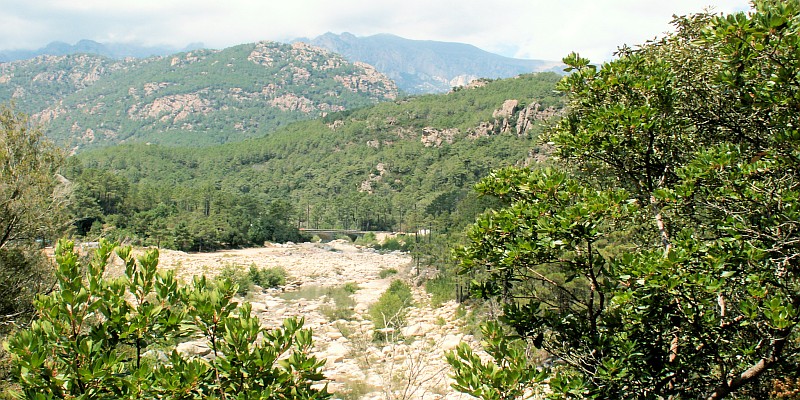 Korsika Dürrealarm Haute-Corse