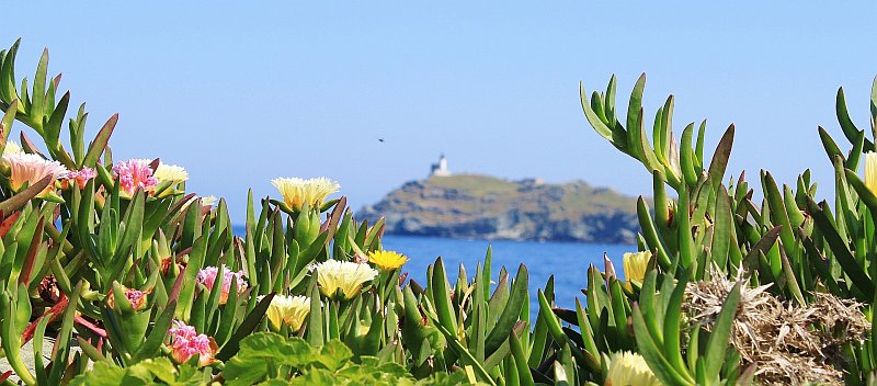 Korsika: nach Sturmtief Larisa, ist der Frühling wieder da.