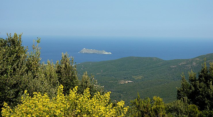 Korsika: CAP-CORSE Marinepark