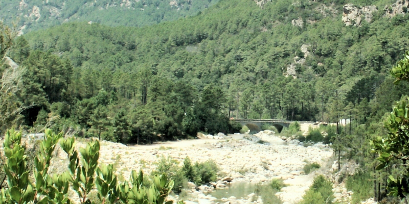 Korsika: Wasserknappheit Haute-Corse