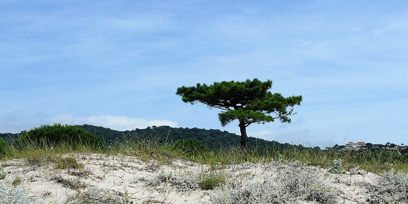 Fautea Strand