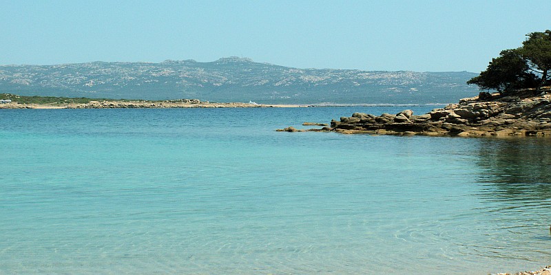 Figari