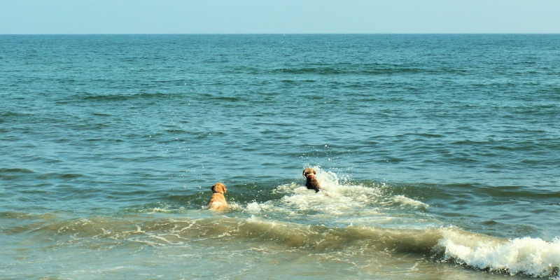Korsika: Touristen verlassen die Insel, das heißt? BADEZEIT!