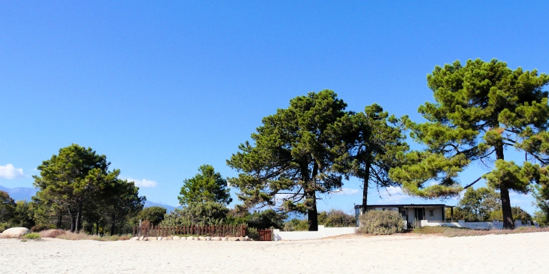 Ghisonaccia Strand