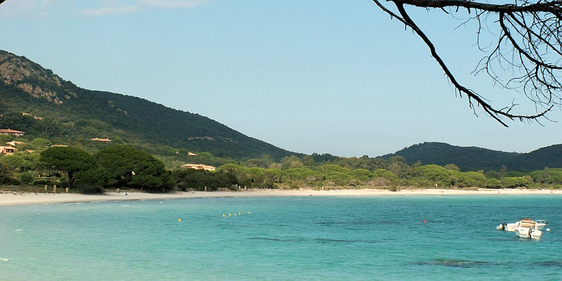 Porto-Vecchio Palombaggia