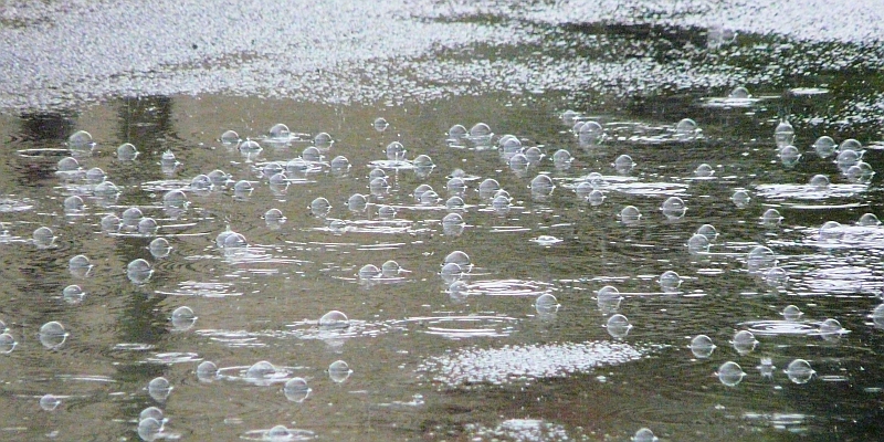 Korsika: 500 Personen wegen Hochwasser evakuiert