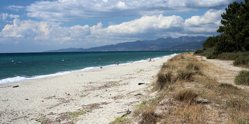 Korsika: Strand von Pinia Costa-Serena