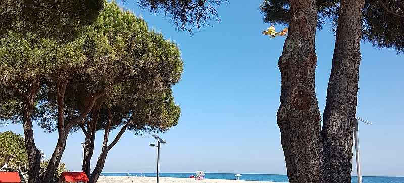 Canadair bei Ghisonaccia
