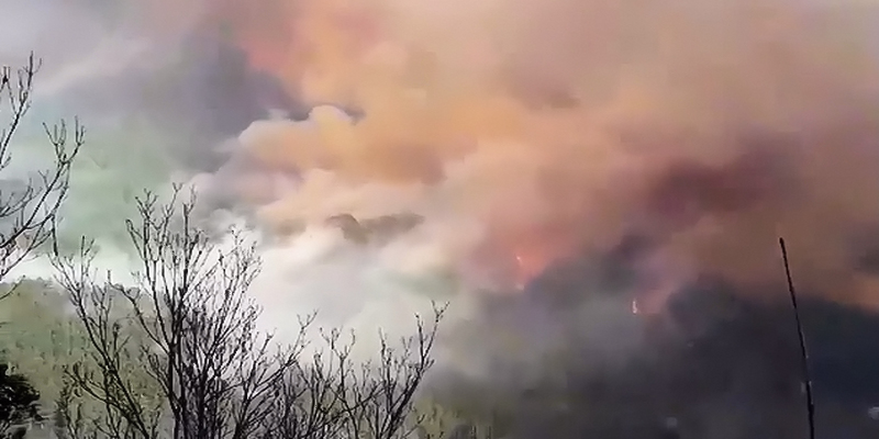 Quenza:Feuer im Bavella-Massiv