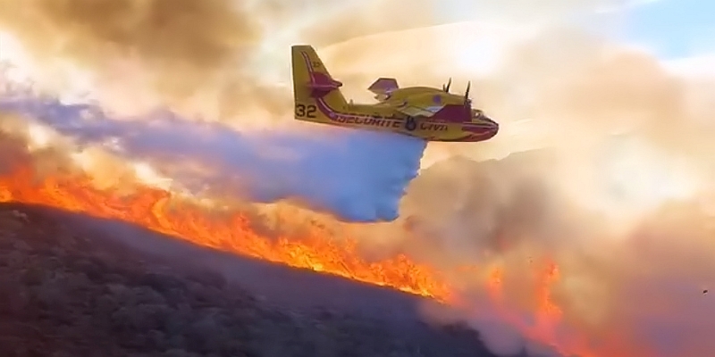 Korsika Feuer Montegrossu Canadair