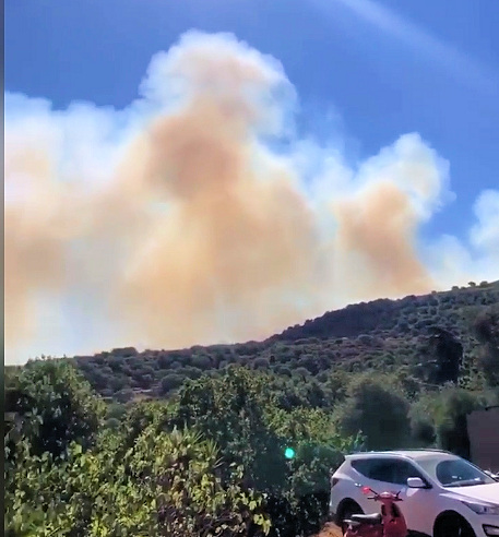 Feuer in der Balagne Korsika