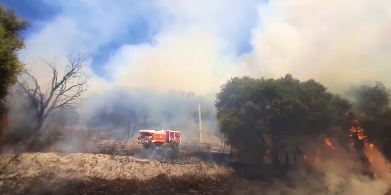 Feuer Gemeinde Peri Süden Korsika