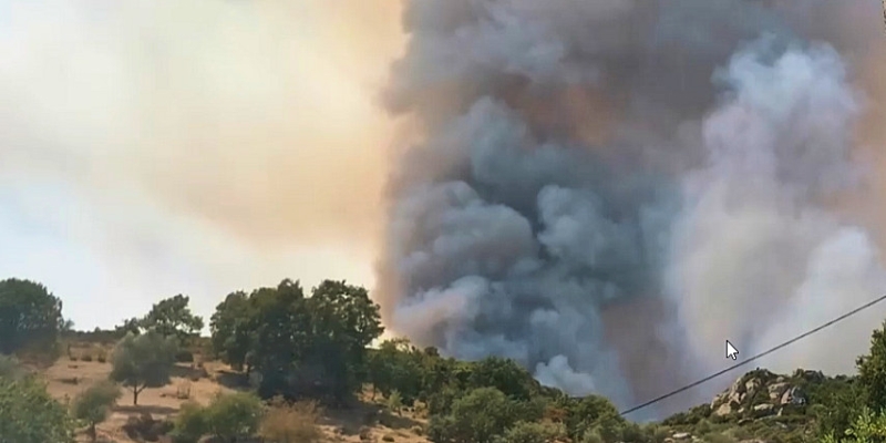 Korsika: Feuer in Santo Pietro di Tenda 