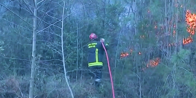 Pionierarbeit hält Flammen in Grenzen