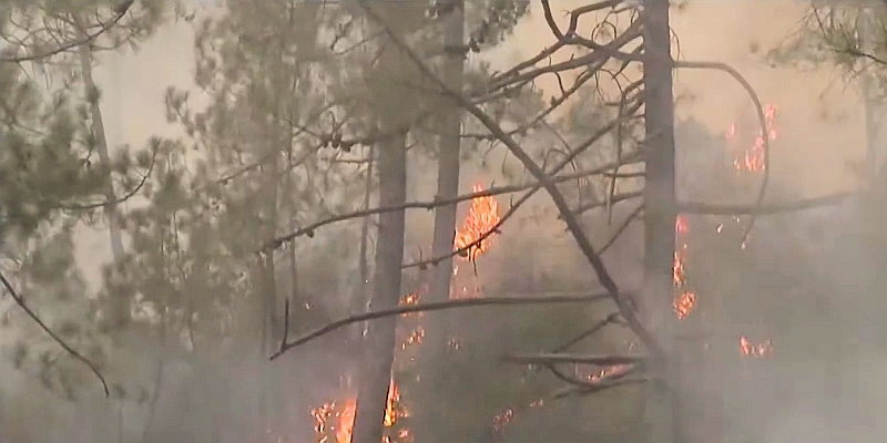 Korsika Feuer Gemeinde von Zalana 