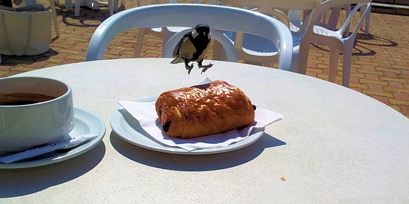 Korsika Frühstück
