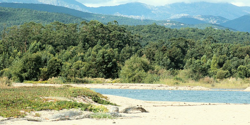 Fluss-Solenzara Mündung