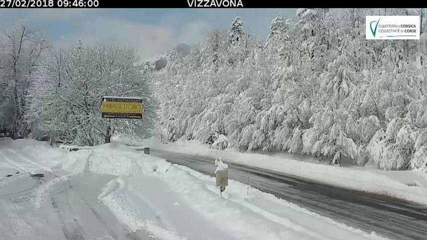 Foto Webcam Col Vizzavona